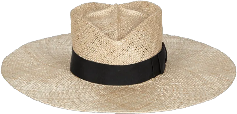 Wren Wide Brim Costume Hat Png Bianca Jagger Style Icon