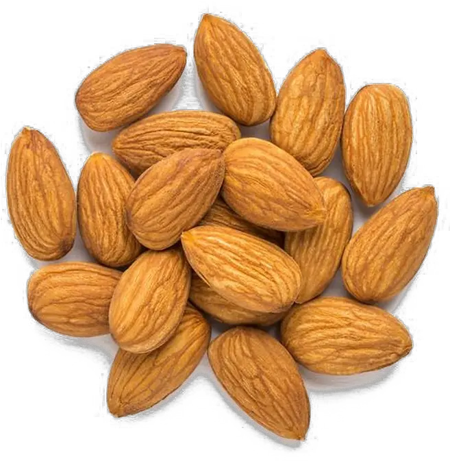 Nut Png Image Background Choking Hazard Foods For Babies Nut Png