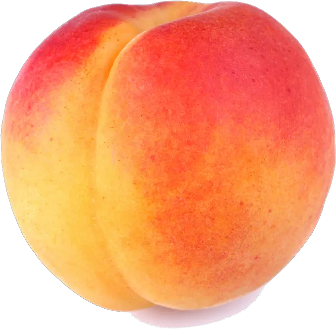 Download Peach Png Image Peach Png Peach Transparent Background