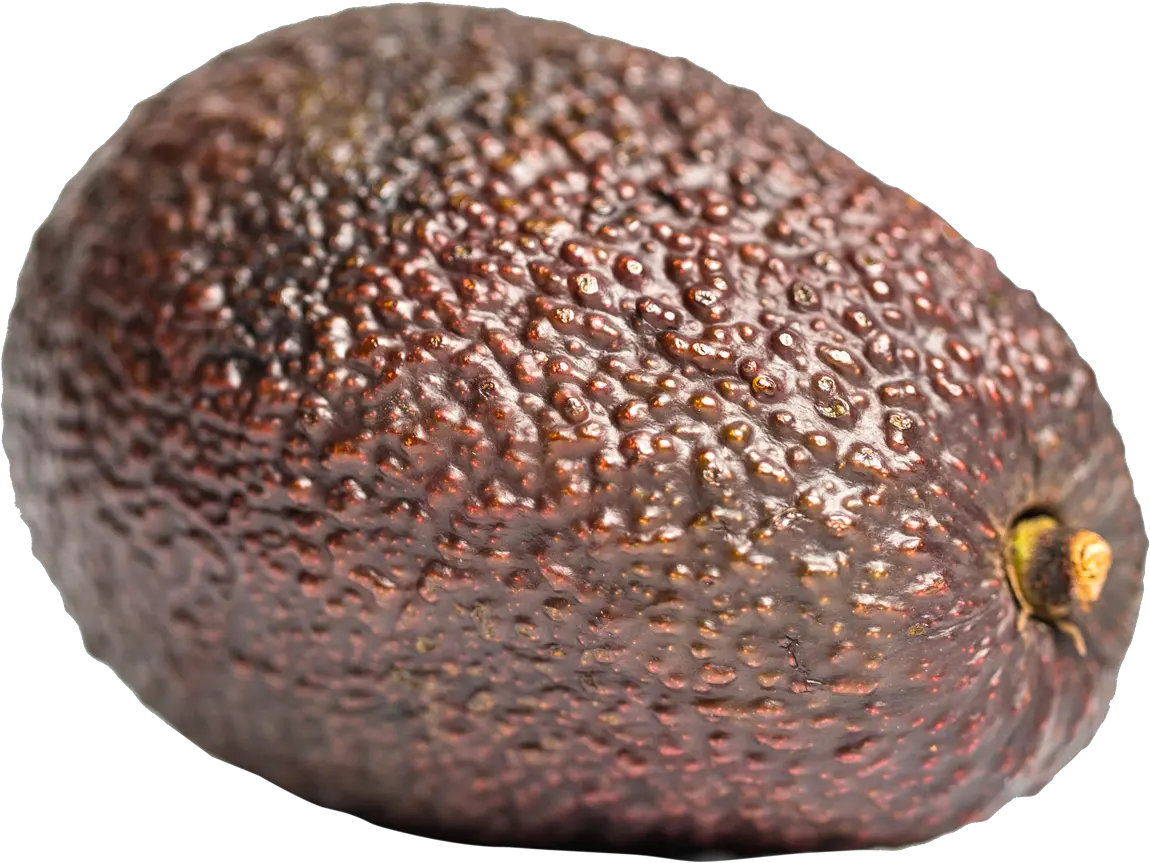 Aocado Png Image Free Images Brown Avocado Png Pear Png