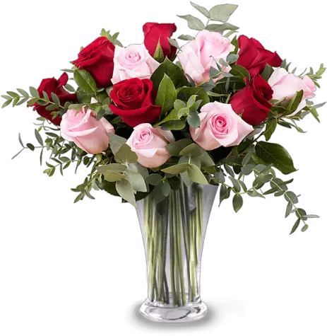 Download Hd 6 Rosas Rojas Fiori Rossi E Rosa Png Rosas Rojas Png