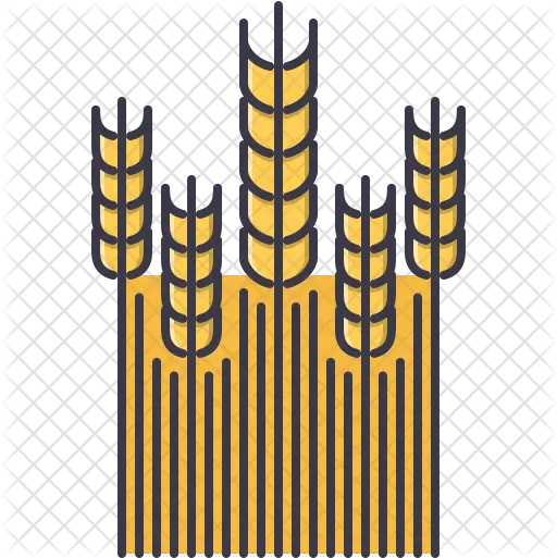 Wheat Field Icon Of Colored Outline Wheat Field Icon Transparent Png Wheat Icon Png