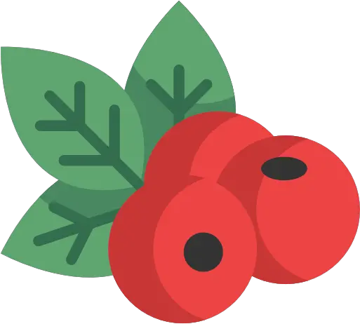 Berries Illustration Png Berries Png