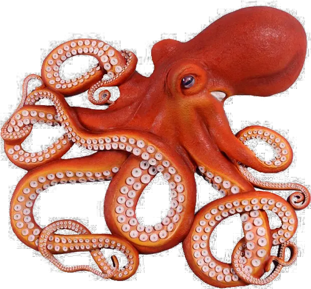 Download Octopus Png Photo Octopus Png Octopus Png