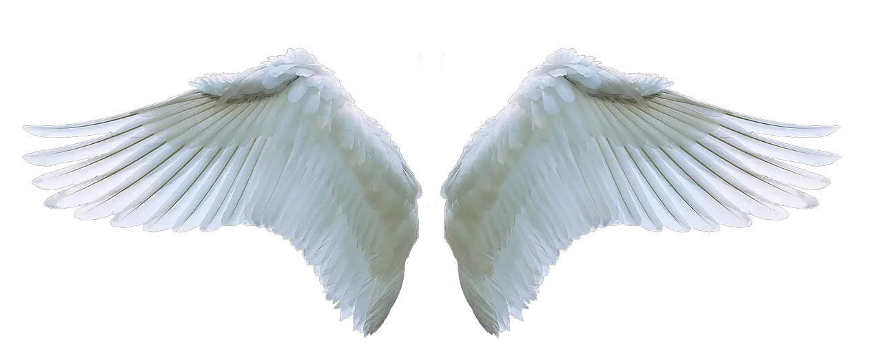 X Men First Class Angel Wings Png