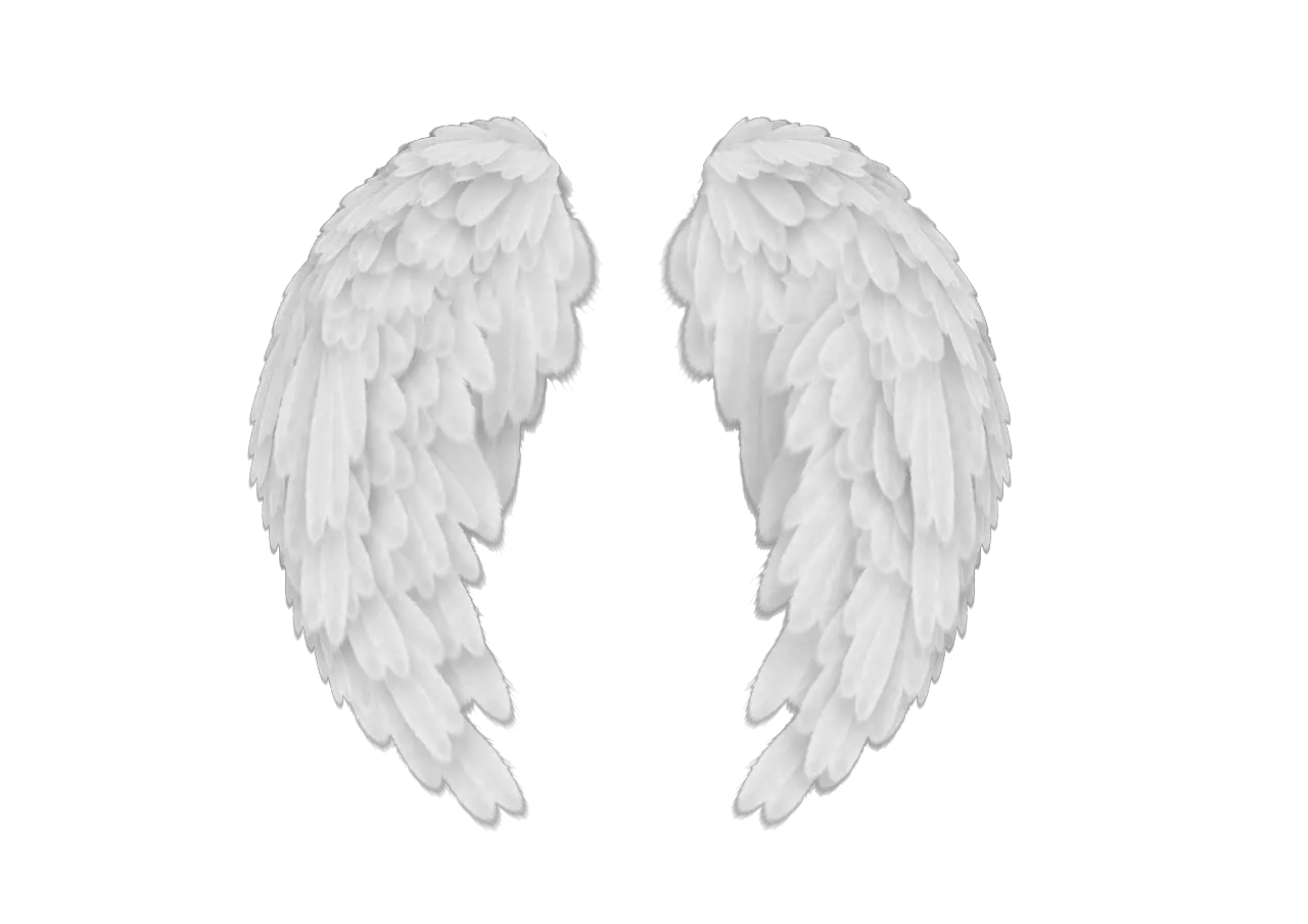 Wrapped Angel Wings Png