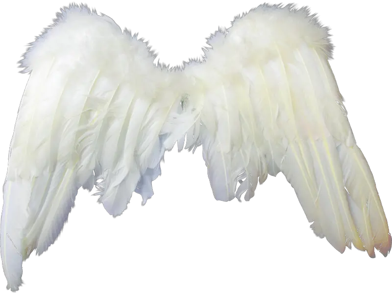 Wrap Angel Wings Png