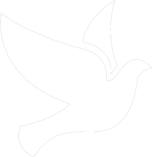 White Bird 2 Icon Free White Bird Icons Bird Icon White Png Bird Png Transparent png