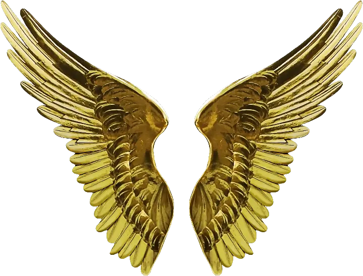 White Angel Wing Png