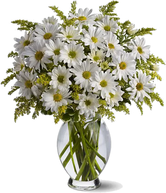 Daisy Bouquet Png Download Image Arts White Daisy Bouquet Daisy Png