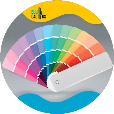 How To Select The Colors Of Logo A Fashion Company Colour Palettes Illustraation Png Make A Wish Foundation Logos