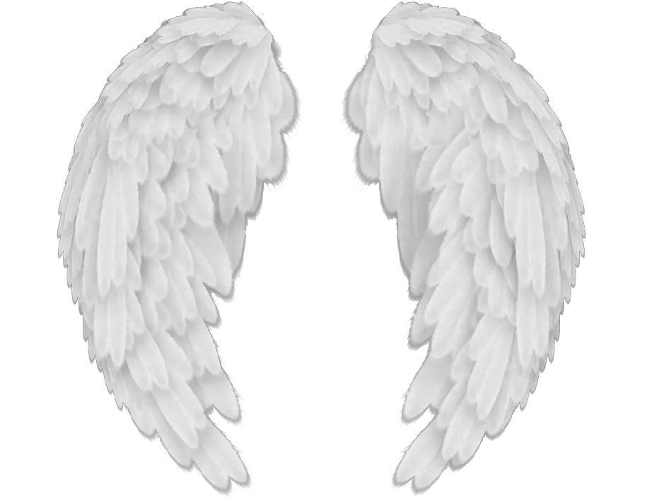 Upward Angel Wings Png