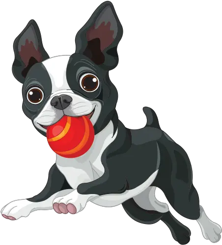 Printed Vinyl Cute Boston Terrier Puppy Outline Boston Terrier Clipart Png Boston Terrier Png