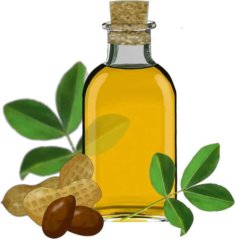 Sunflower Oil Clipart With Nuts Png Image Purepng Free Transparent Background Olive Oil Png Nuts Png