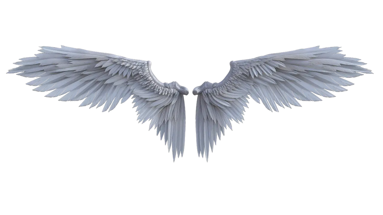 Tumblr Angel Wings Png