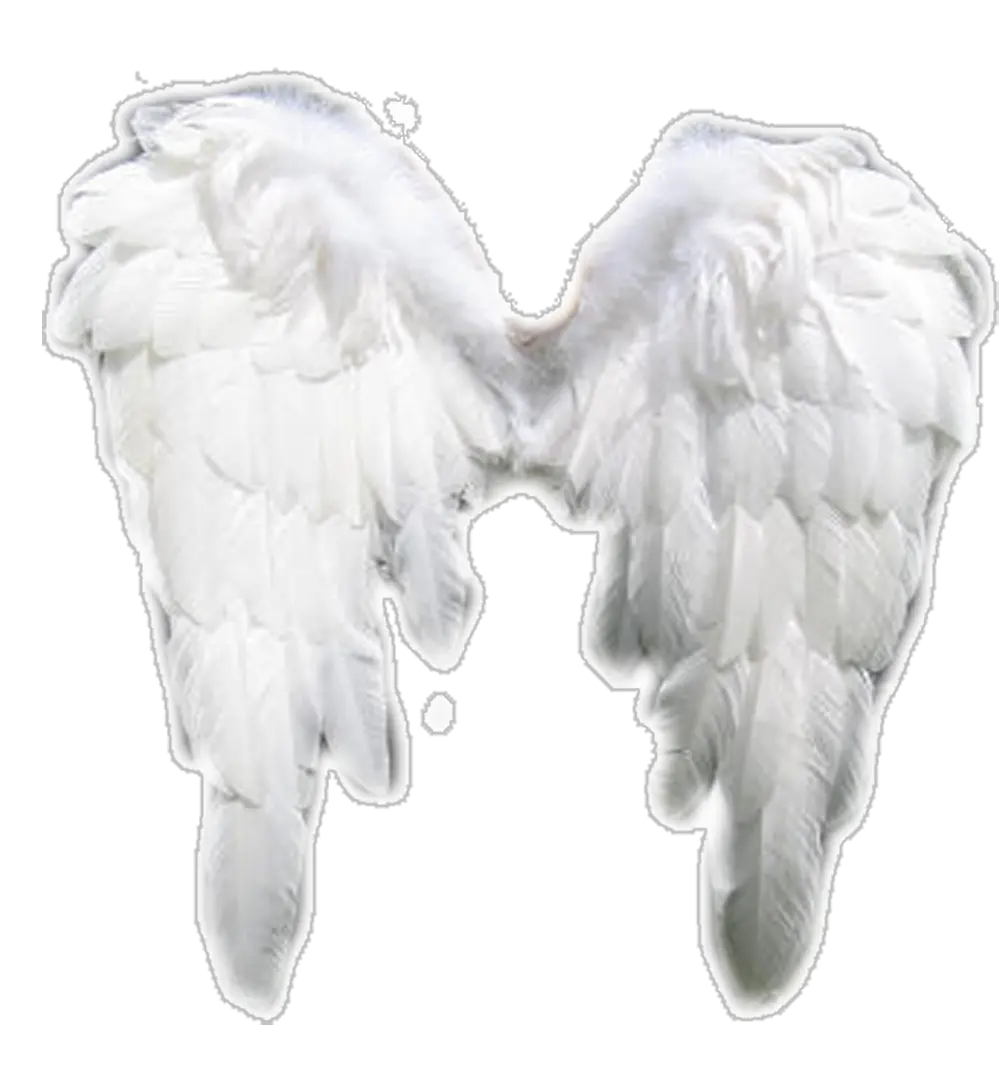 Transparent Background Guardian Angel Angel Wings Png