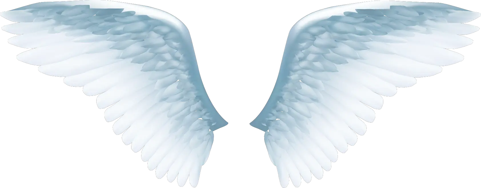 Transparent Png Angel Wings