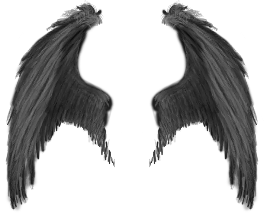 Tattoo Angel Wing Outline Png