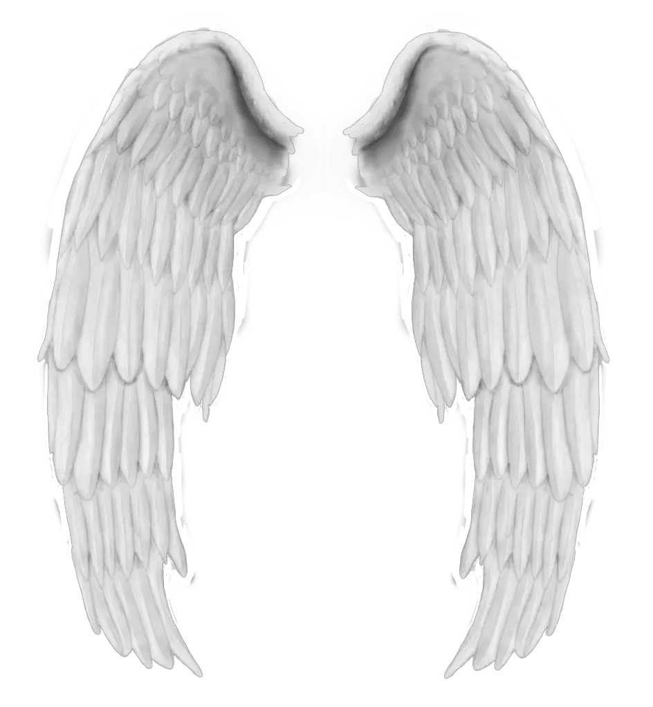 Transparent Angel Wings Wrapped Png