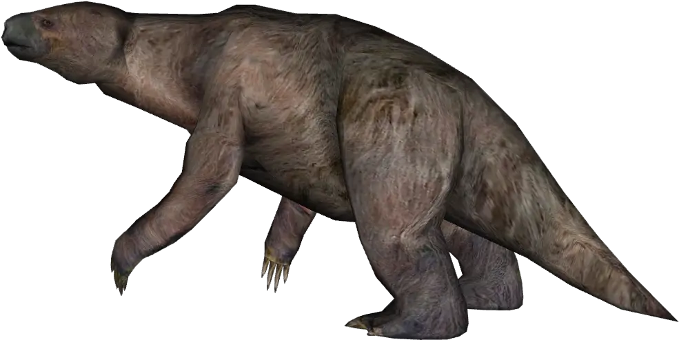 Download Hd Giant Ground Sloth 1 Giant Ground Sloth Transparent Background Png Sloth Png