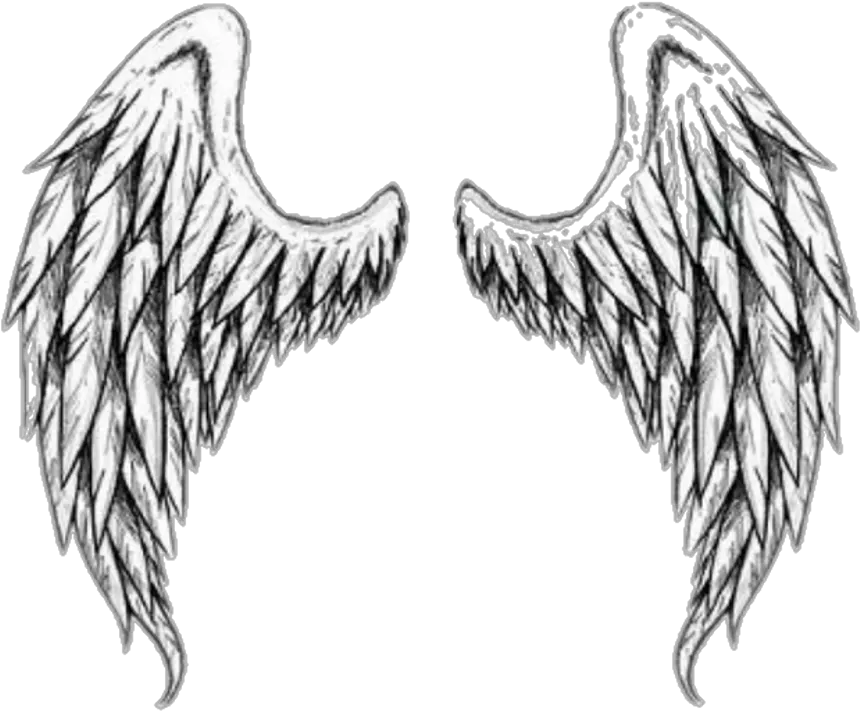 Softball Angel Wings Png