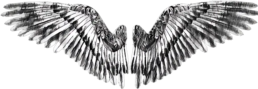 Small Angel Wings Png