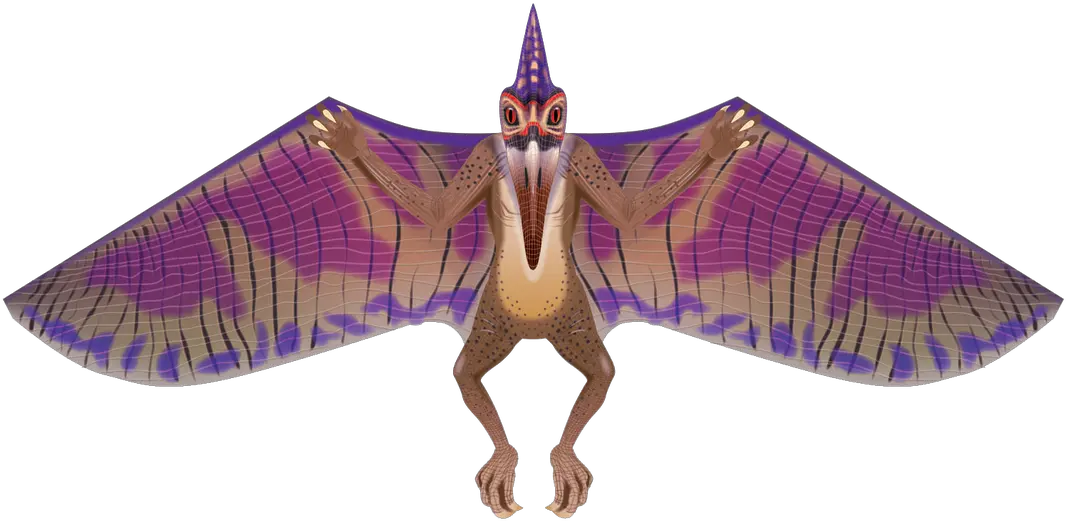 Download 64 Pterodactyl Kite Brainstorm Wns Dinosoars Png Pterodactyl Png