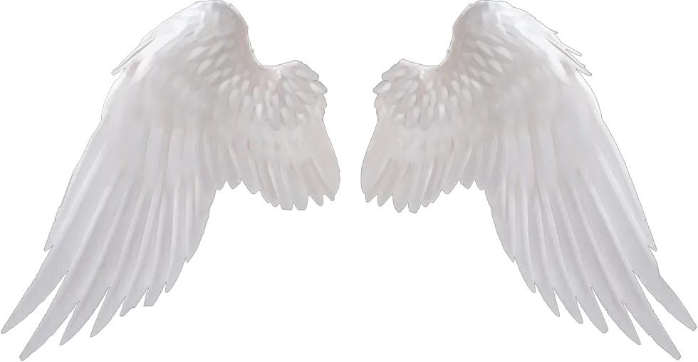 Simple Angel Wings Png Clipart