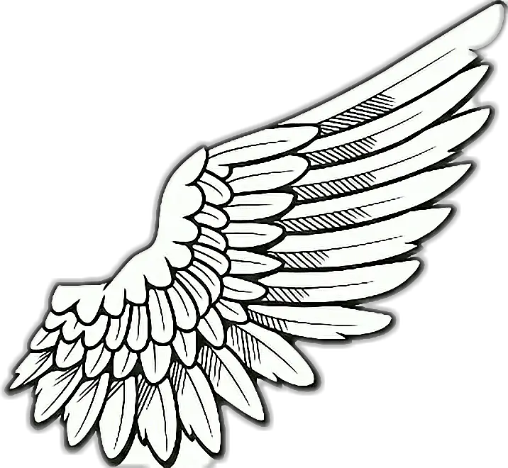 Rope With Angel Wings Png