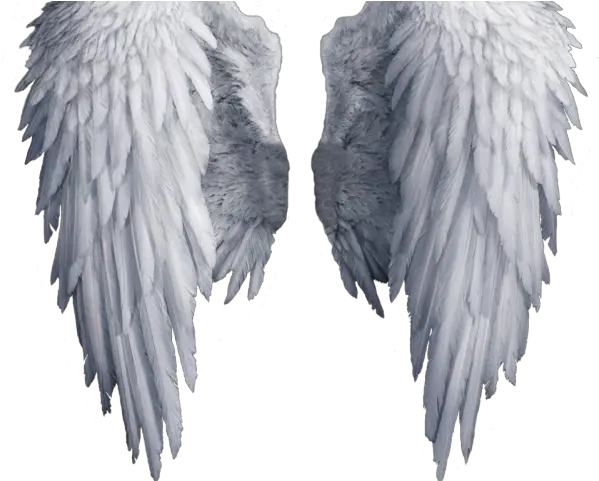 Png Images Of Best Angel Wings