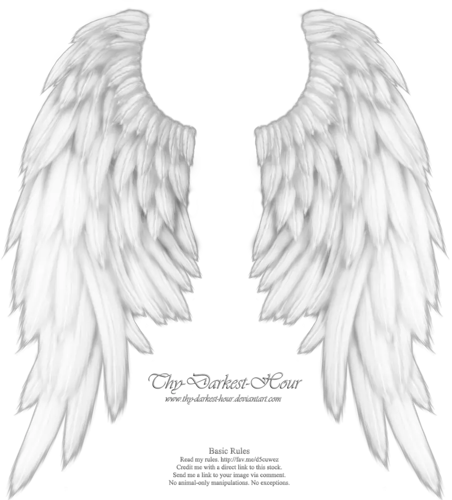 Png Images Of Silver Angel Wings