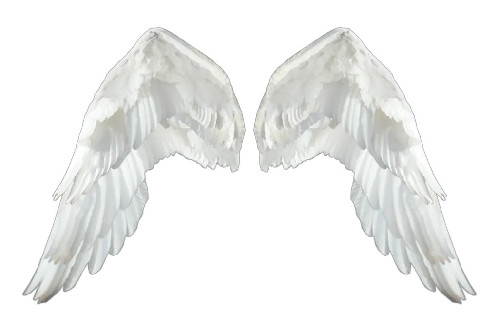 Png Image Of Red And Black Angel Wings