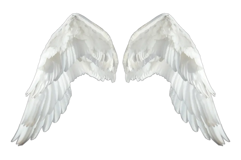 Png Image Of Black And White Angel Wings