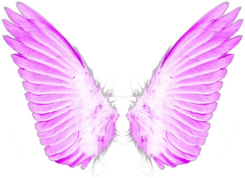 Png Antiqued Sketch Of Angel Wings