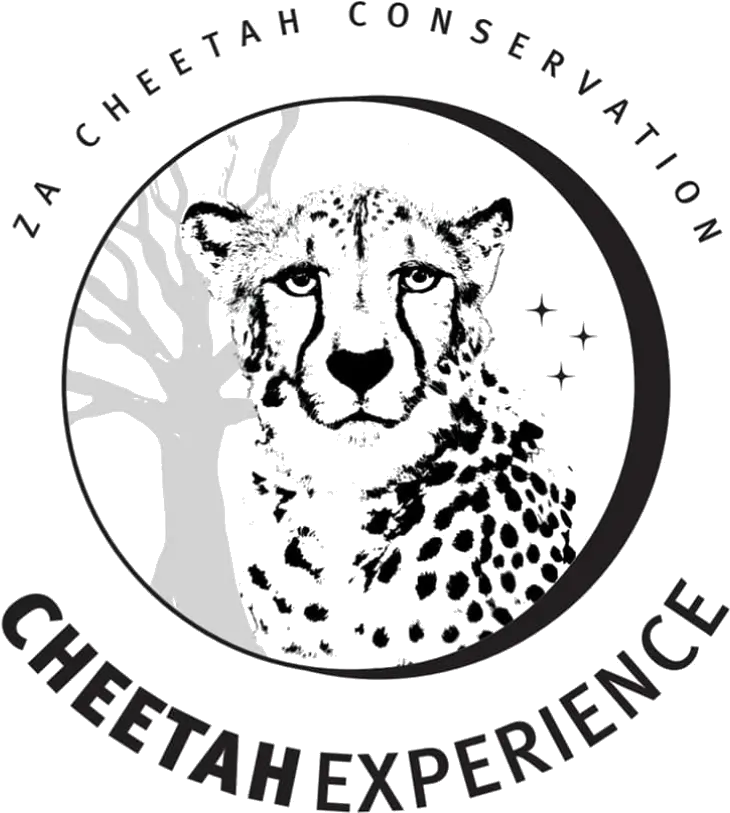 Za Cheetah Conservation Mzanzitravel Magazine Hidden Gems Cheetah Experience Logo Png Cheetah Logo