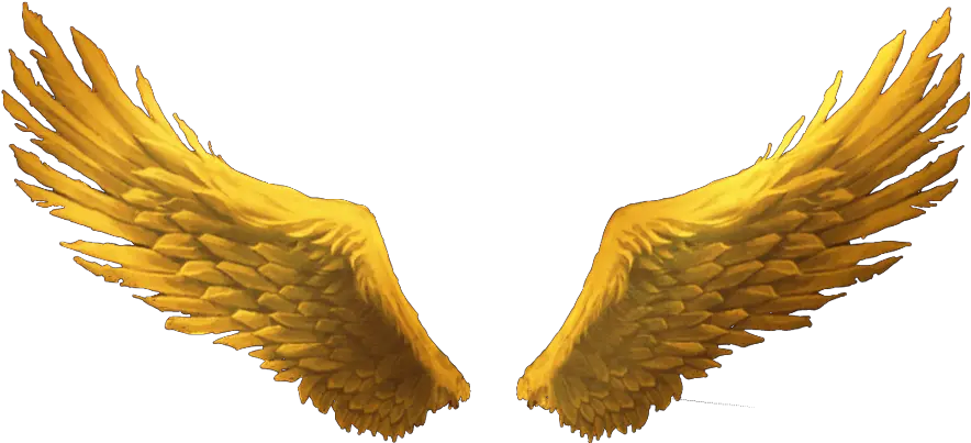 Pastel Angel Wings Png