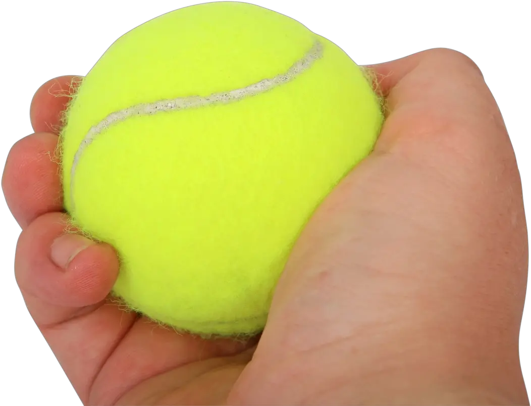 Tennis Ball In Hand Png Image Tennis Ball In Hand Tennis Ball Png png