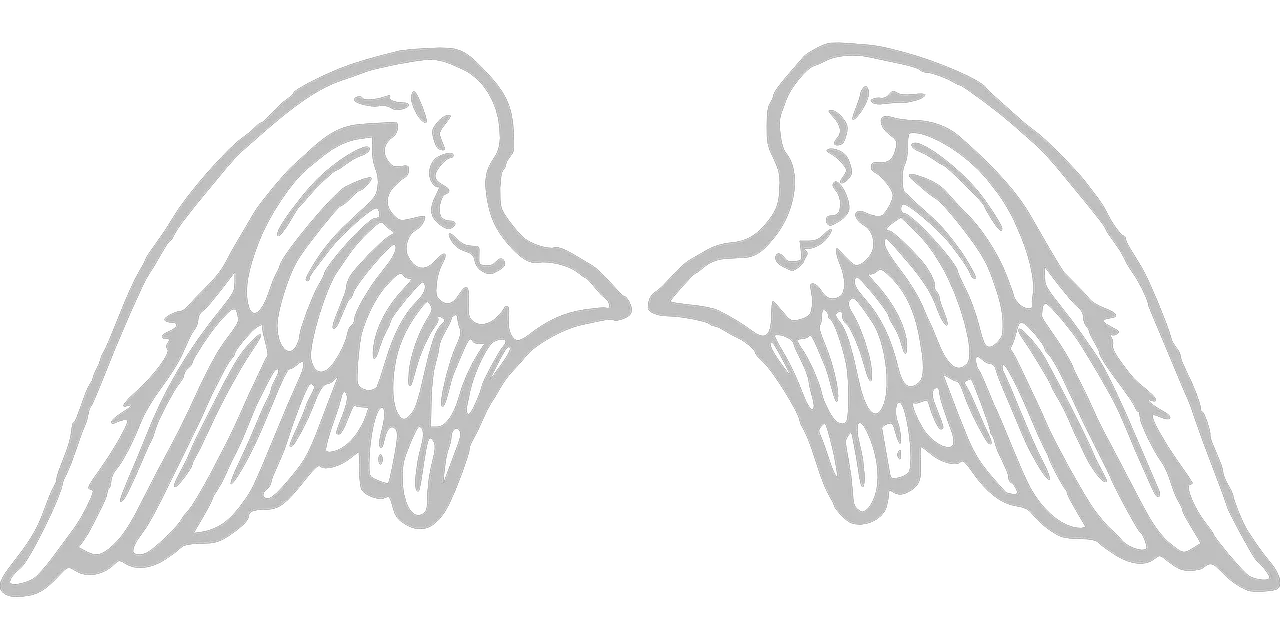 Person With Angel Wings Png