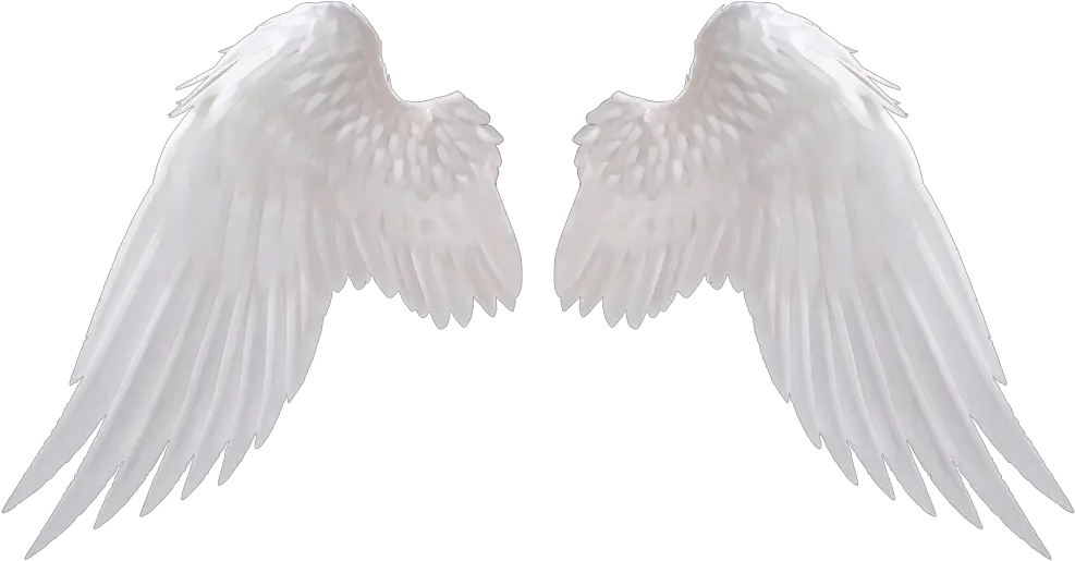 Pixel Tumblr Pink Angel Wings Png Gif