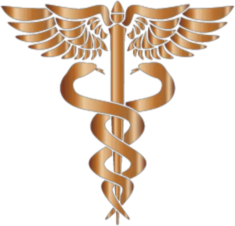 Stephen Miley Md Facep Expert Medical Witness Caduceus Logo Vector Png Md Icon