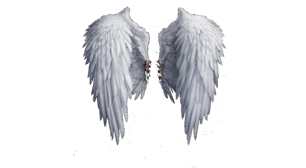 Heaven Angel Wings Png