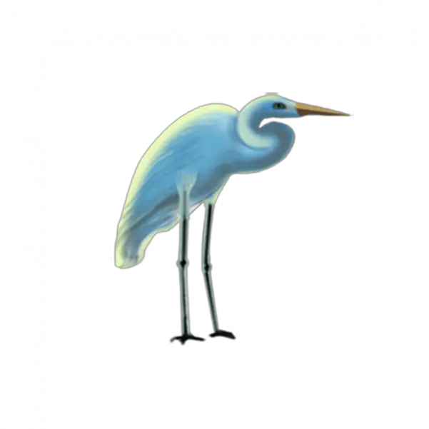 Crane Bird Png Transparent Images Egret Crane Bird Png