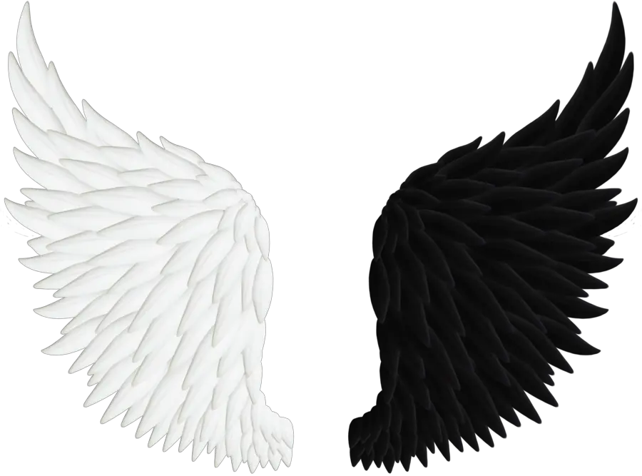 High Resolution Angel Wings Png