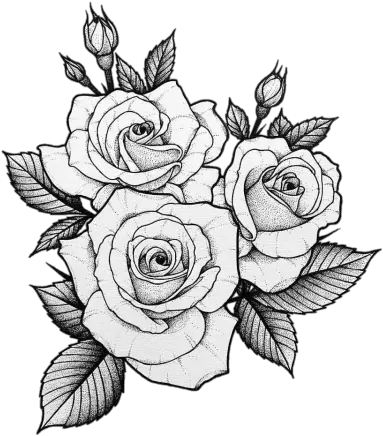 Rose Png Transparent Image Png 1239 Free Png Images Rose Drawing Tattoo Black Roses Png