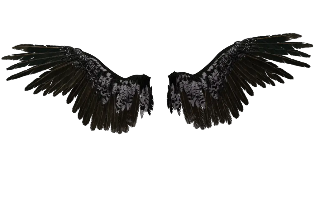 Gol D Angel Wings Png