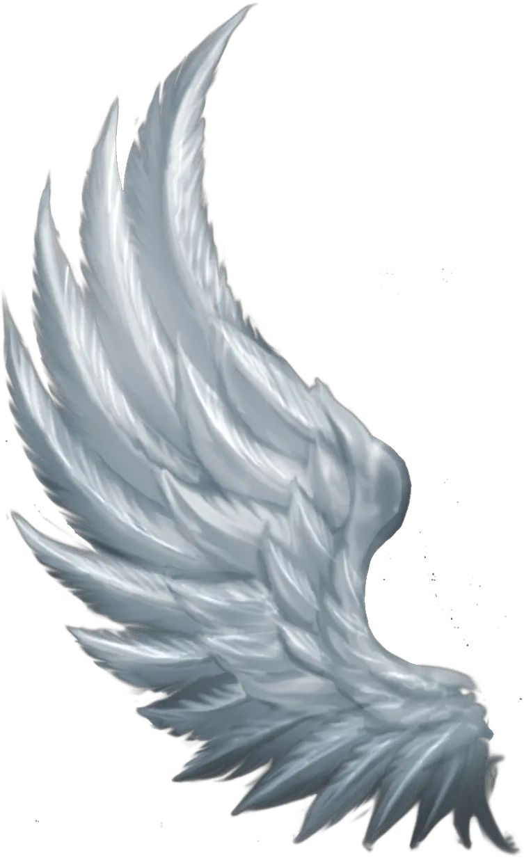 Forrnite Angel Wings Png