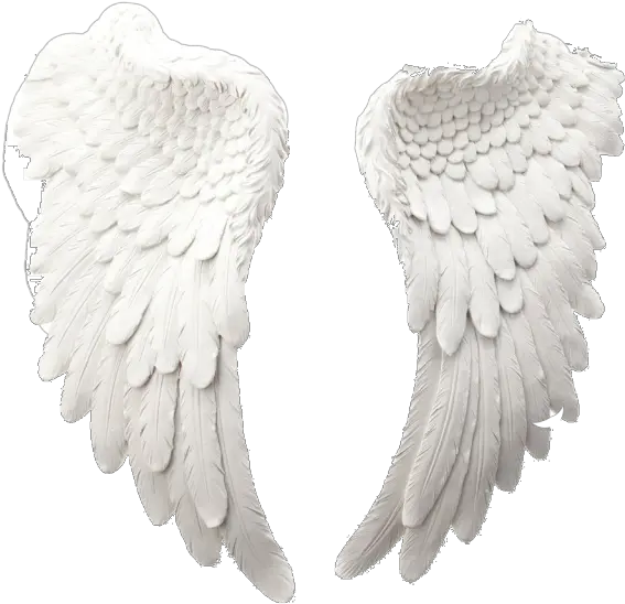 Fallen Angel Wing Png