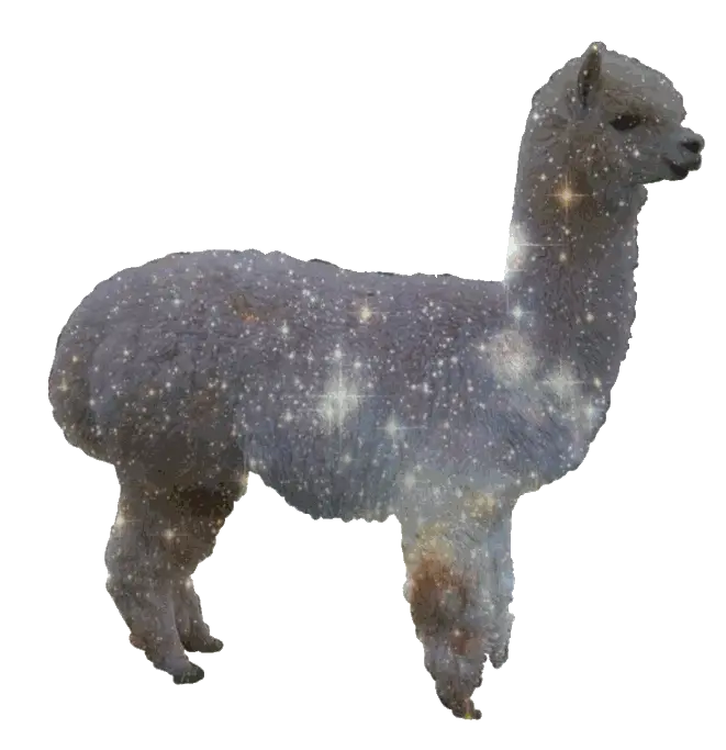 127 Images About Transparent Glitter Llama Png Transparent Pictures