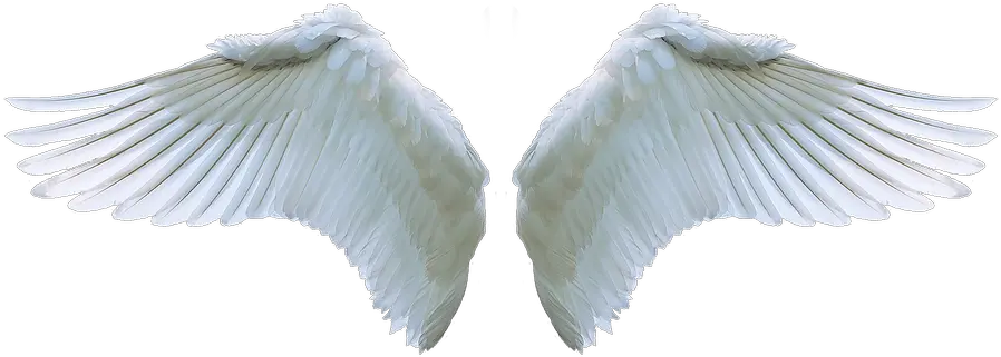 Chibi Dark Angel Wings Png