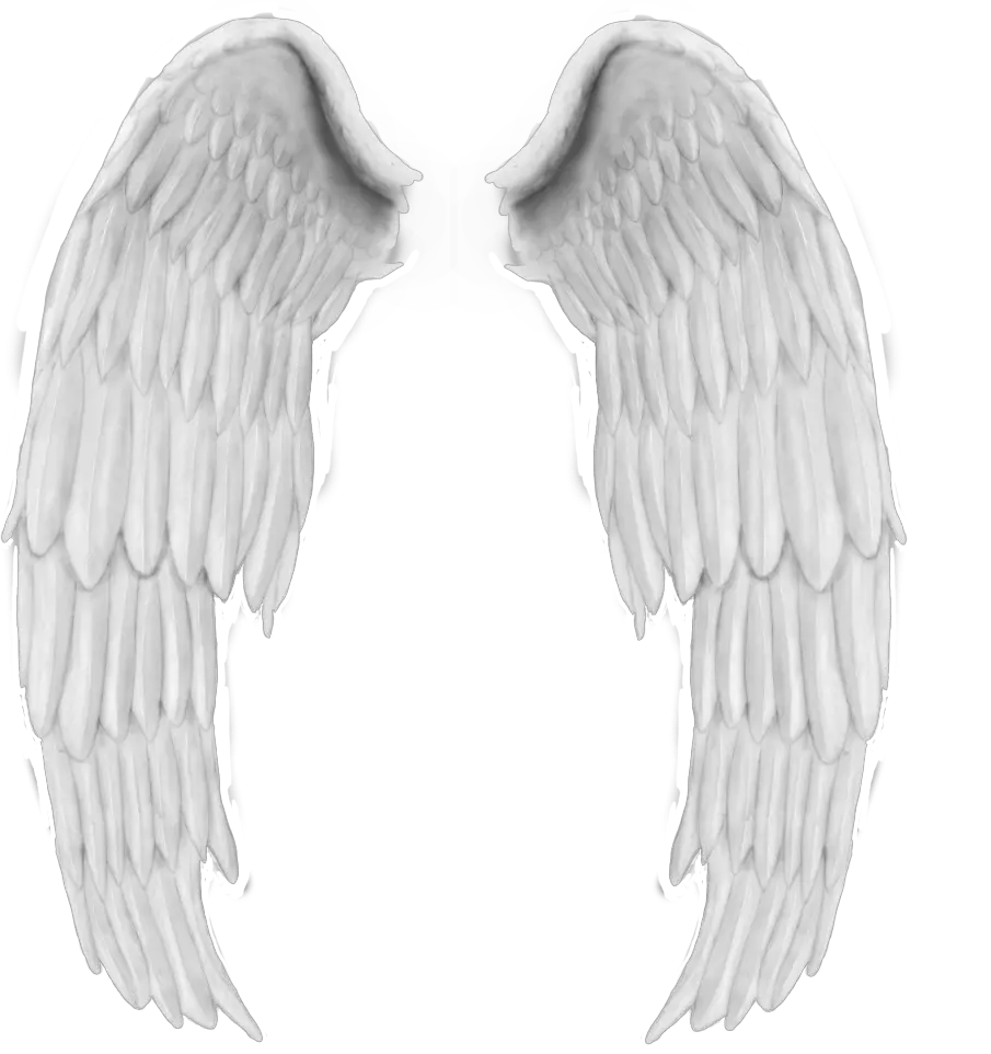 Broken Angel Wings Png